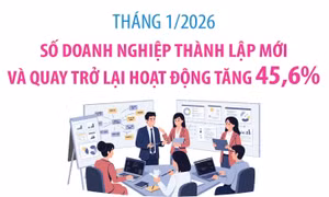 Tháng 1/2026: Số doanh nghiệp thành lập mới và quay trở lại hoạt động tăng 45,6%