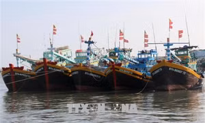 Khẩn trương hoàn thành lắp đặt thiết bị giám sát hành trình tàu cá