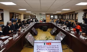 Thúc đẩy hợp tác nông nghiệp Việt Nam-Mexico thực chất và bền vững