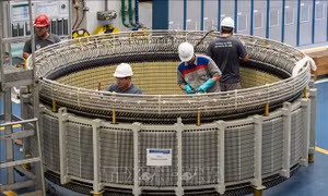 Brazil tăng lương tối thiểu lên 244 USD từ tháng 1/2023