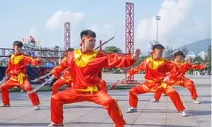 Võ cổ truyền Bình Định giữ vị trí đặc biệt trong nền võ học dân tộc