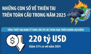 Những con số về thiên tai trong năm 2025