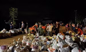 Người dân và lực lượng chức năng ứng phó vỡ đê sông Lô tại Tuyên Quang
