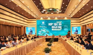 Thúc đẩy liên kết, phát triển bền vững chuỗi giá trị sản phẩm