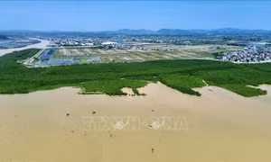 Ứng phó thiên tai và biến đổi khí hậu ở xứ Thanh - Bài cuối: Không để bị động trong mọi tình huống