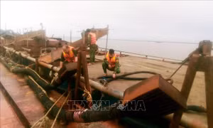 Tạm giữ hai sà lan hút cát trái phép trên vùng biển Cần Giờ