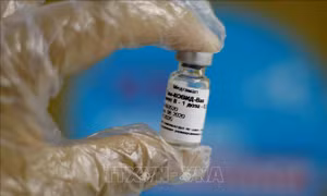 Bộ Y tế phê duyệt vaccine Sputnik V cho nhu cầu cấp bách
