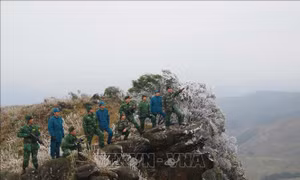 Tuần tra trên đỉnh băng tuyết