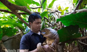 Nhà bảo tồn người Việt đoạt giải thưởng môi trường danh giá nhất thế giới