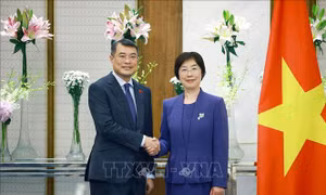 Thủ tướng Lê Minh Hưng tiếp Chủ tịch Ngân hàng Đầu tư Cơ sở hạ tầng Châu Á