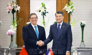 Thủ tướng Lê Minh Hưng tiếp Bộ trưởng Ngoại giao Cuba