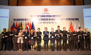ASEAN+3 thúc đẩy thương mại về nông, lâm, thủy sản