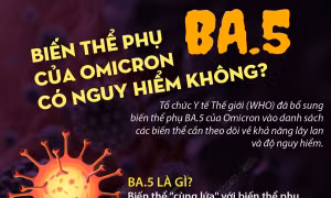 Biến thể phụ BA.5 của Omicron có nguy hiểm không?