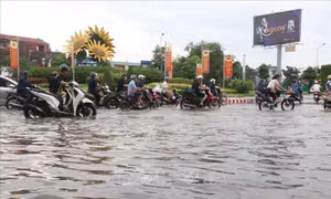 Chuyên gia: Bão số 4 có quỹ đạo và diễn biến khá bất thường