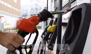 Đông Bắc Á tăng tốc ứng phó rủi ro năng lượng