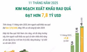 11 tháng năm 2025: Xuất khẩu rau quả đạt hơn 7,8 tỷ USD