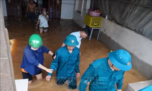 Huy động lực lượng sơ tán dân, di dời tài sản khỏi vùng ngập​