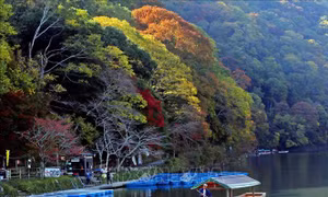 Chiêm ngưỡng cảnh sắc tuyệt đẹp ở công viên Arashiyama, Kyoto