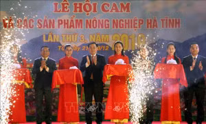 Khai mạc lễ hội cam và các sản phẩm nông nghiệp Hà Tĩnh lần thứ 3​