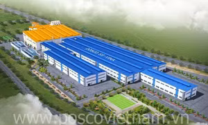 Hải quan tiếp tục điều tra làm rõ việc nhập khẩu của Công ty Posco SS Vina