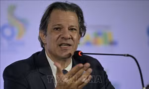 Brazil khẳng định đủ khả năng ứng phó với thuế quan của Mỹ