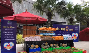 Nghệ sỹ Thành phố Hồ Chí Minh 'tiếp lửa' cho người có hoàn cảnh khó khăn​