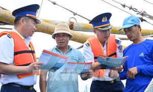 Thành phố Hồ Chí Minh mở đợt cao điểm gỡ cảnh báo thẻ vàng IUU