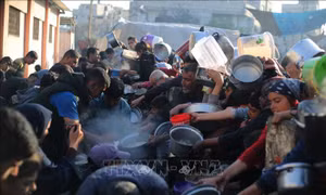 Ai Cập, Jordan kêu gọi cộng đồng quốc tế tăng viện trợ cho Gaza