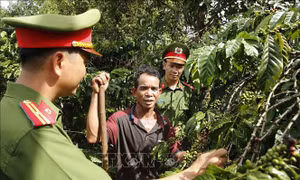 Hiệu quả bước đầu khi bố trí Công an chính quy về xã - Bài cuối: Chính quy, bài bản, tạo thuận lợi cho người dân