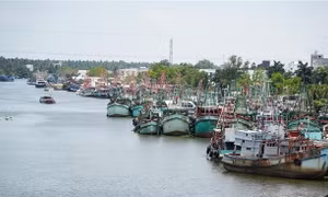 Khắc phục 'thẻ vàng' IUU: Nâng cao ý thức, trách nhiệm của ngư dân