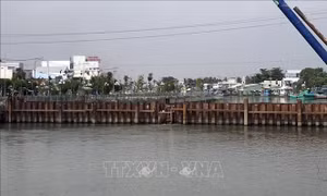 Kiên Giang xây dựng công trình kiểm soát mặn ven biển Tây