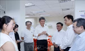 Thường trực Ban Bí thư Trần Cẩm Tú thăm địa điểm tiếp xúc cử tri của Đảng Hành động Nhân dân Singapore