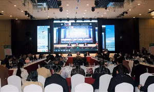 Hỗ trợ thông tin cho doanh nghiệp xuất nhập khẩu sang thị trường Trung Quốc