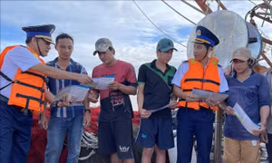 Bà Rịa-Vũng Tàu quyết tâm cao chống khai thác IUU