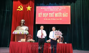 Phê chuẩn Phó Chủ tịch UBND tỉnh Bà Rịa - Vũng Tàu