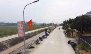 Hà Nam: Phát triển nông nghiệp sinh thái, nông thôn hiện đại, nông dân văn minh