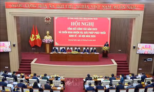 Tổng điều tra kinh tế 2026: Cơ sở để hoạch định chính sách tốt hơn