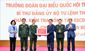Bí thư Thành ủy Hà Nội thăm, chúc Tết Sư đoàn Bộ binh 301, Bộ Tư lệnh Thủ đô