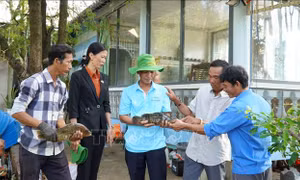 Thu nhập cao từ phát triển kinh tế dưới tán rừng