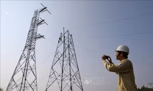 Phấn đấu hoàn thành đường dây 500 kV Dốc Sỏi - Pleiku 2 vào ngày 31/12