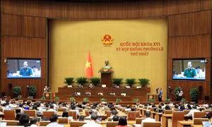 Thông cáo báo chí số 6, Kỳ họp không thường lệ thứ Nhất, Quốc hội khóa XVI