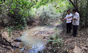 Tây Ninh: Gian nan phòng, chống cháy rừng mùa khô