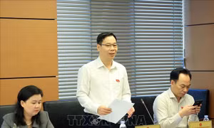 Làm rõ nguyên tắc xác định nguồn thông tin ưu tiên trên Cơ sở dữ liệu hộ tịch