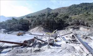 Lũng đoạn đấu giá - chưa có hồi kết nếu thiếu chế tài mạnh