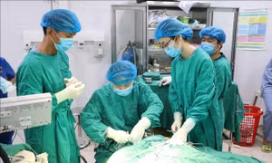 Mang lại nụ cười cho trẻ mắc dị tật hở môi, vòm miệng