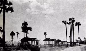 Những nẻo đường Campuchia - Bài 1