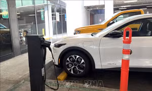 Doanh số xe điện toàn cầu tăng 5 tháng liên tiếp