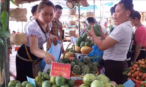 Ban hành bộ tiêu chí, mẫu thiết kế cho điểm giới thiệu và bán sản phẩm OCOP
