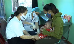 Hướng dẫn giám sát và phòng, chống bệnh bạch hầu
