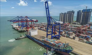 Trung Quốc mở cửa trở lại, ngành nào sẽ được hưởng lợi?